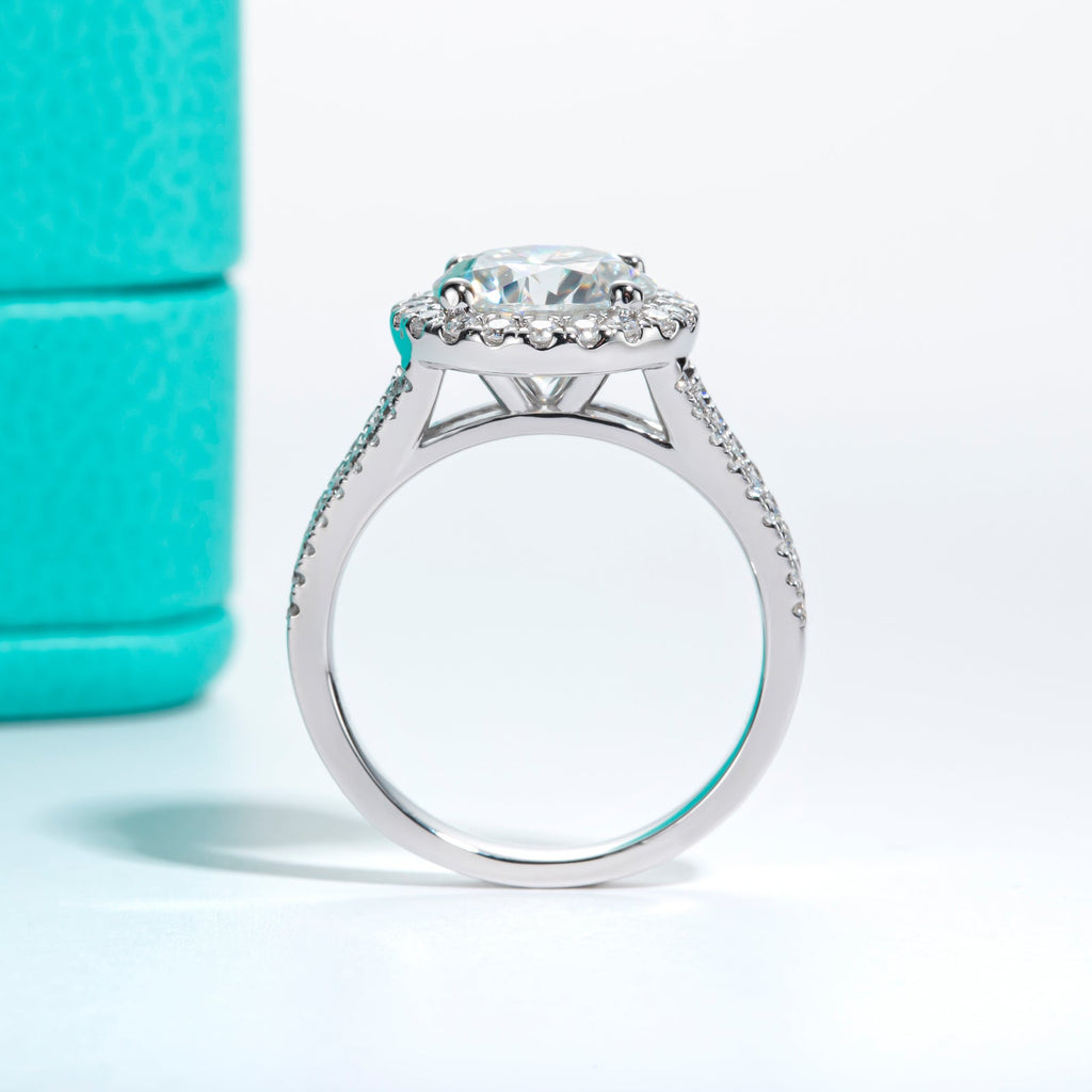 Round Cut Halo Moissanite Engagement Ring (3.8 cttw)